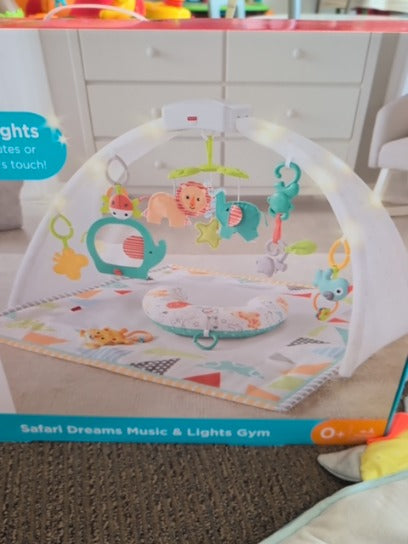 Fisher Price  New Activity Gym, None